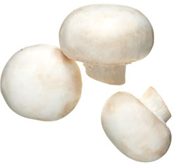 mushrooms 052611
