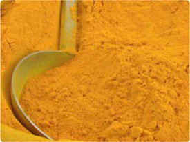 cancer tip TURMERIC SPICE 062311