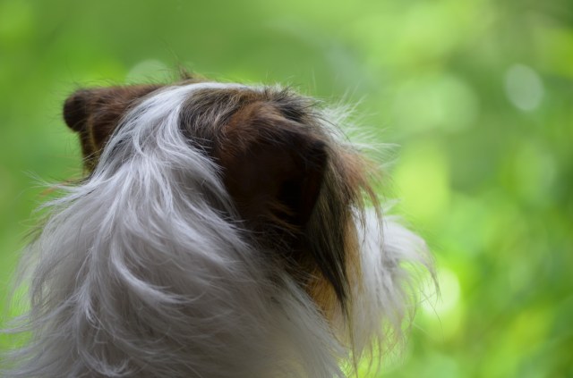 Charlie... meditating?