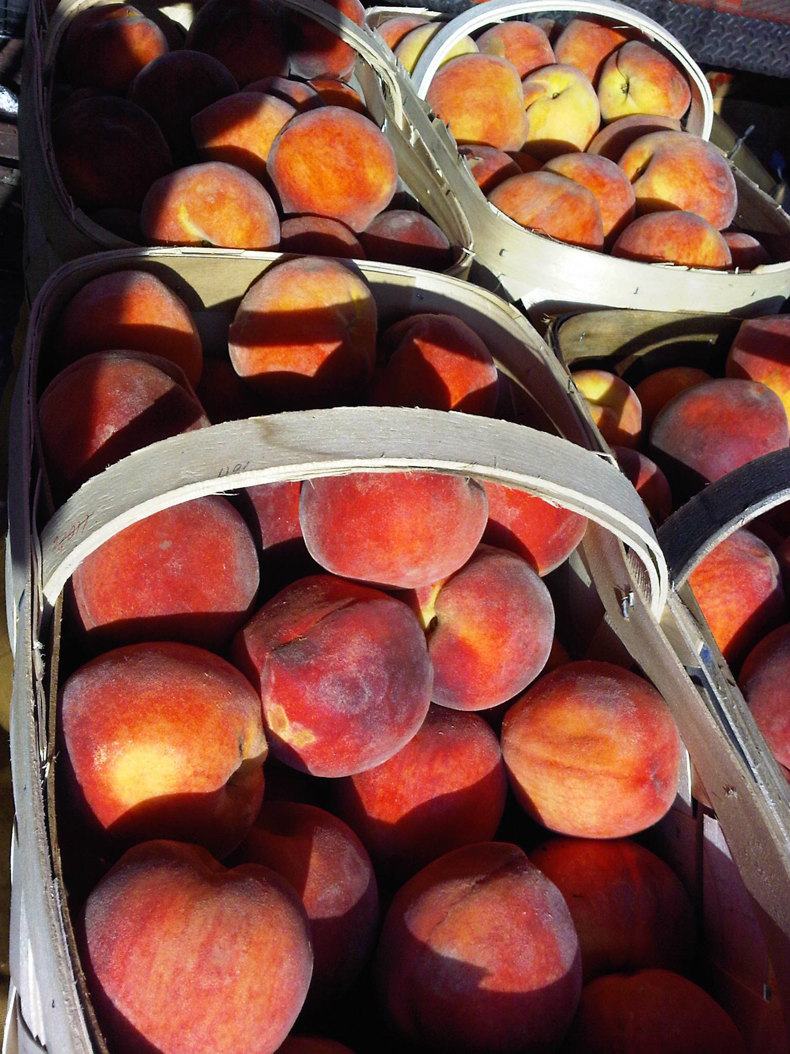 Fresh juicy peaches!
