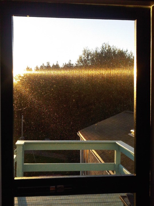 Back screen door at the Ocean House Hotel, Port Clyde, Maine