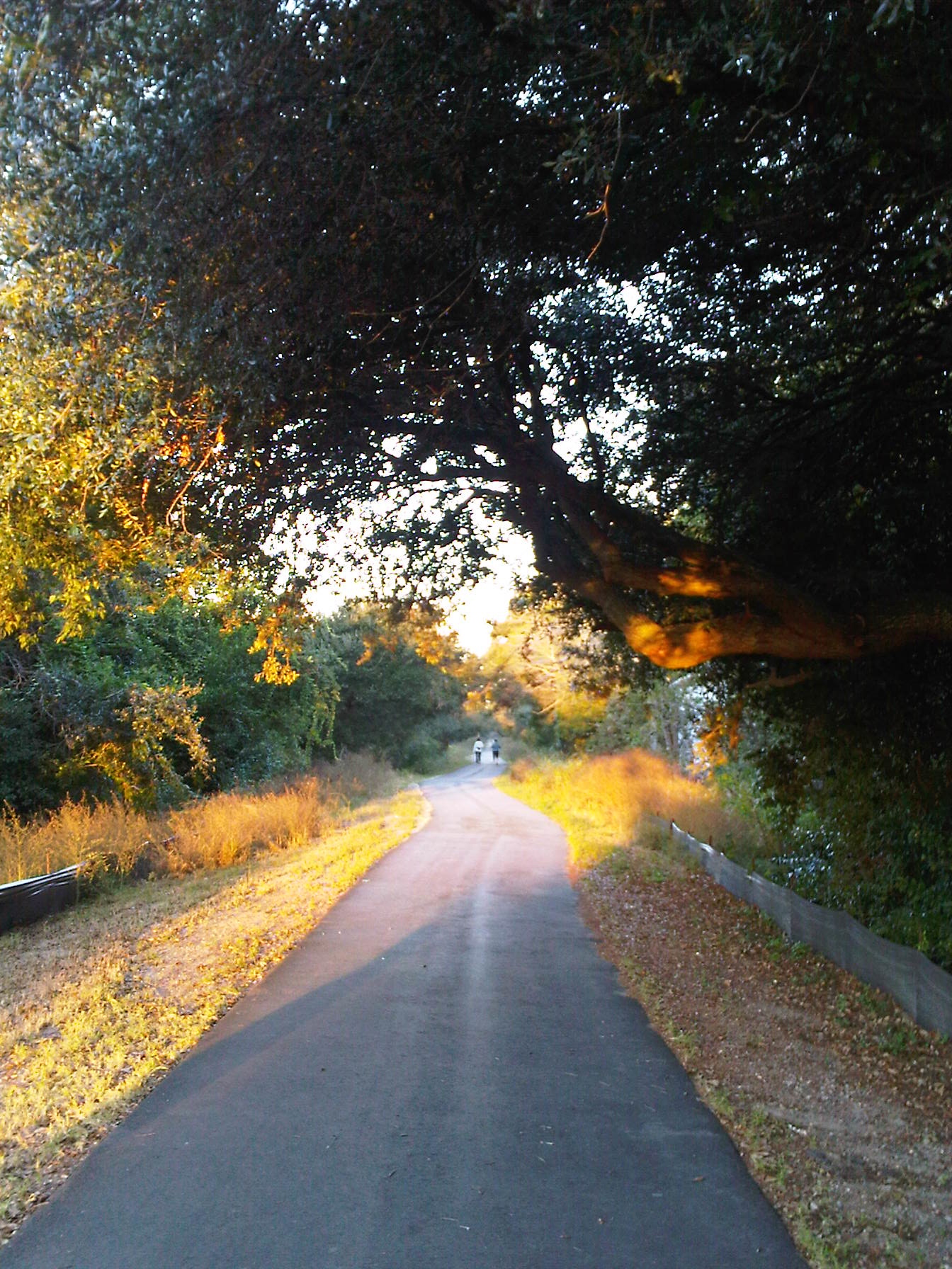 West Ashley Greenway, Charleston, SC