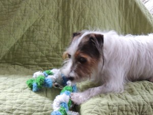 Charlie Christmas...