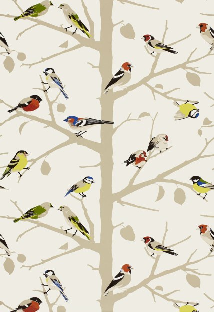 ATweet BirdWallpaper Schumacher