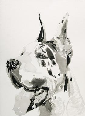 ChristinaHewson GreatDane CH