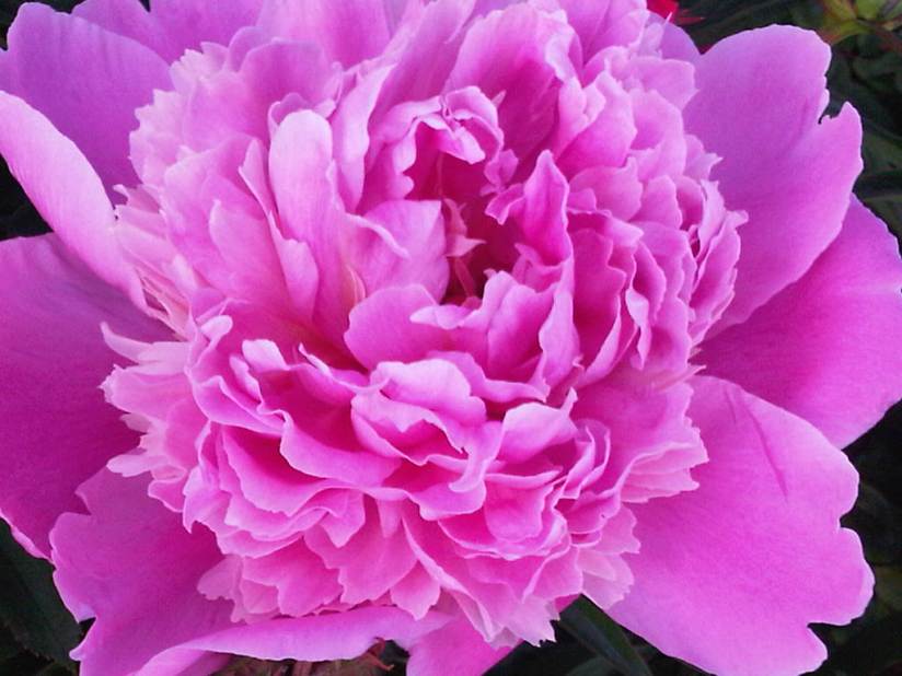 Have A Beautiful Day!