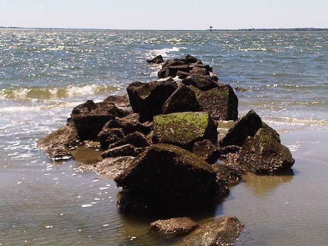 IMG00939-20110407-1354