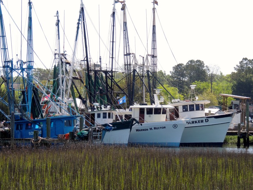 Shrimp boats, Shem Creek, Mt. Pleasant, SC