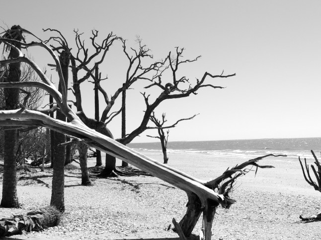 Botany Bay Beach