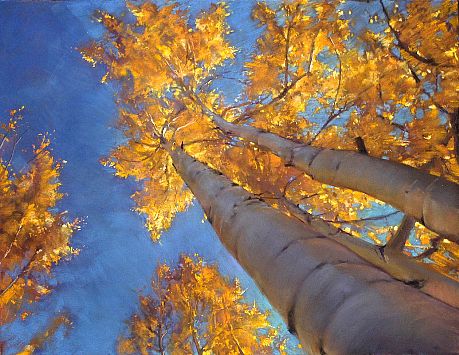 BruceGomez FinalThoughtFromFaraway TellurideGOFA