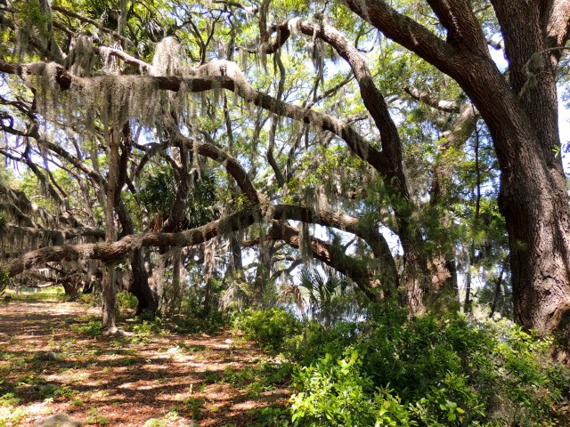 Our lunch spot, Botany Bay