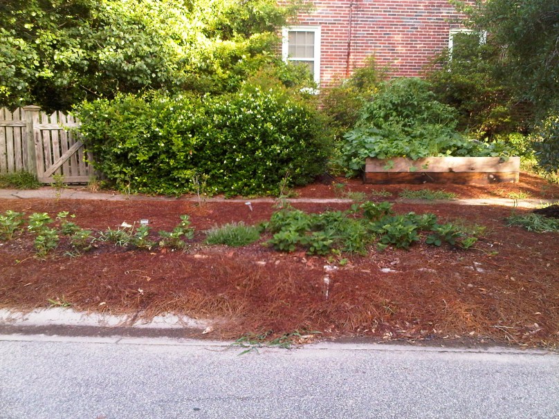 Byrnes Down Garden Part 2