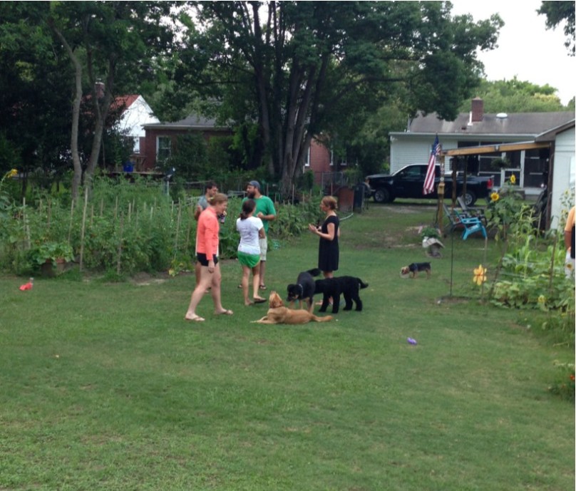 sothel fun on the farm