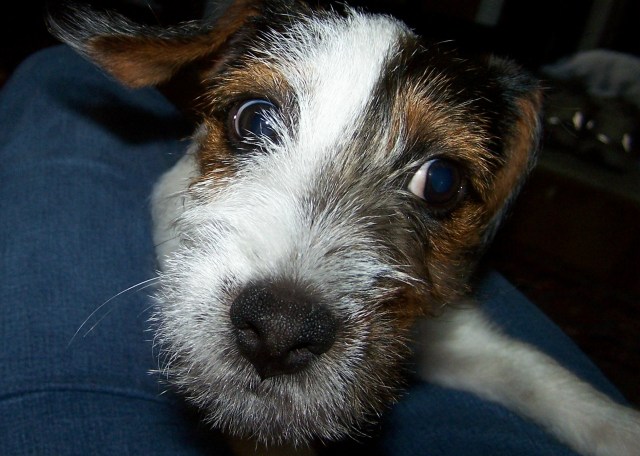 I plan on having a wild & crazy birthday!! Celebrate good times...!