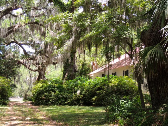 Road in Rockville, SC