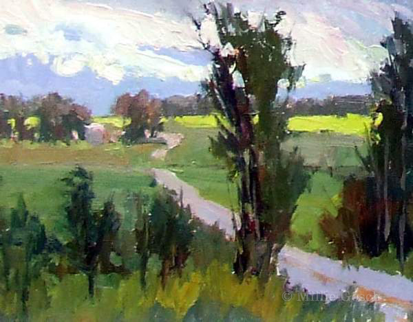 "Montana Canola Fields" by Millie Gosch