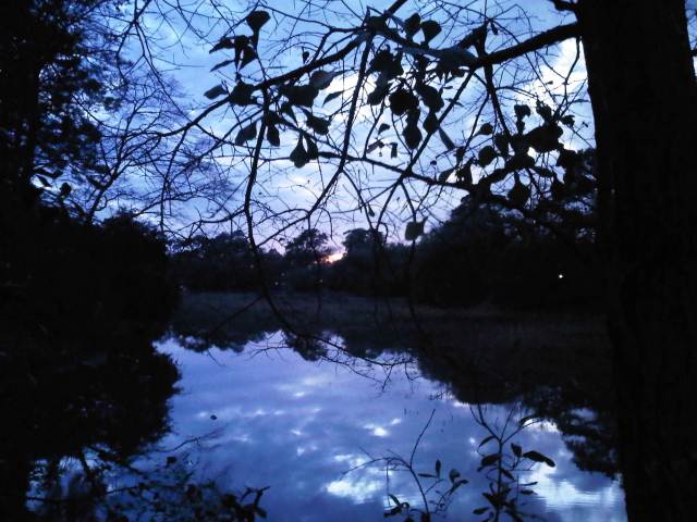 Truly a walk to remember...