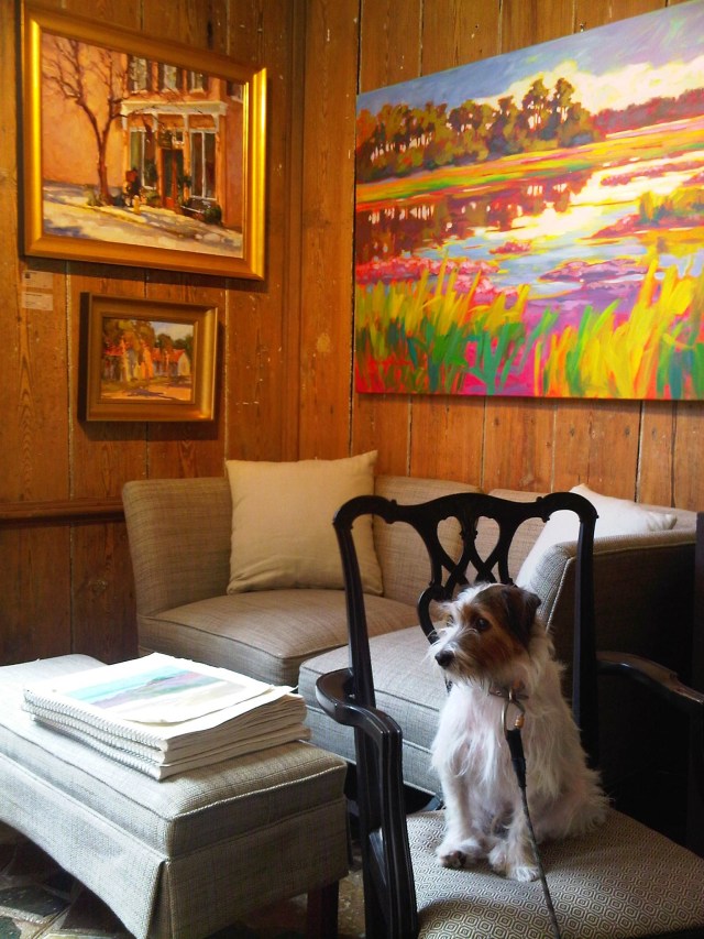 Charlie the gallery dog!