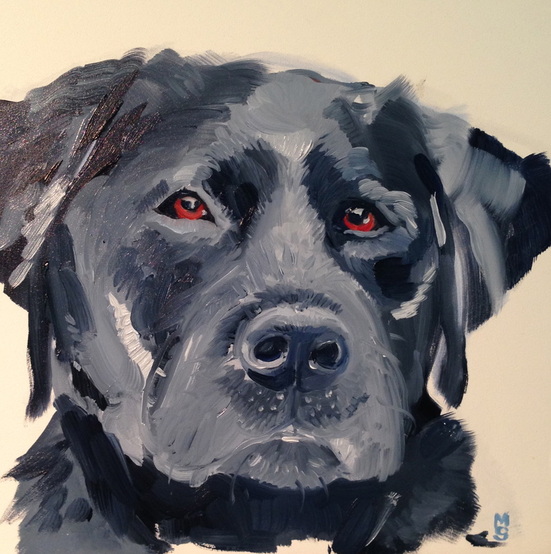 Gus by Margaret Sheldon