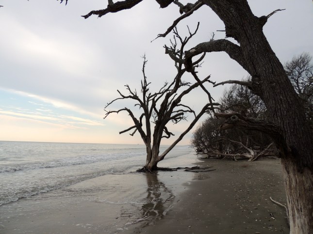 Beach at Botany Bay - Edisto, SC