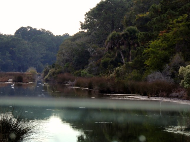 Botany Bay in the Fall...