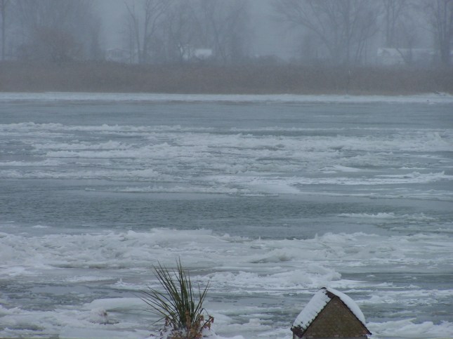 Ice flowing along the river in Algonac, MI