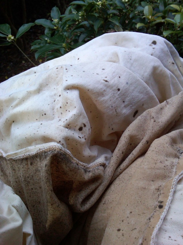 The loveseat… AFTER...