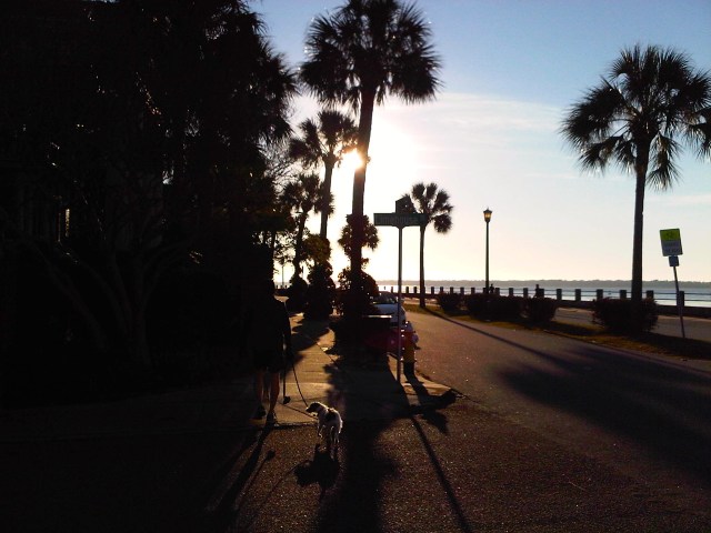 Walking in downtown Charleston...
