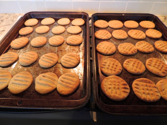 barbara stroud - peanut butter cookies