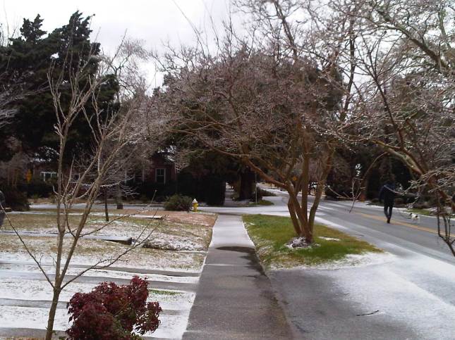 Winter Storm 2014 Charleston, SC