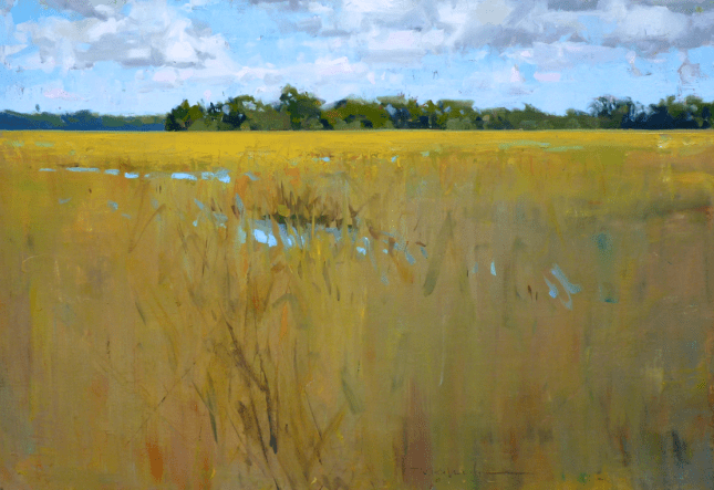 James Richards - Lost in the Marsh