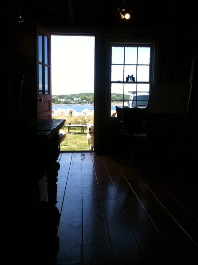 Layla outside the Eugene Quinn Studio Gallery