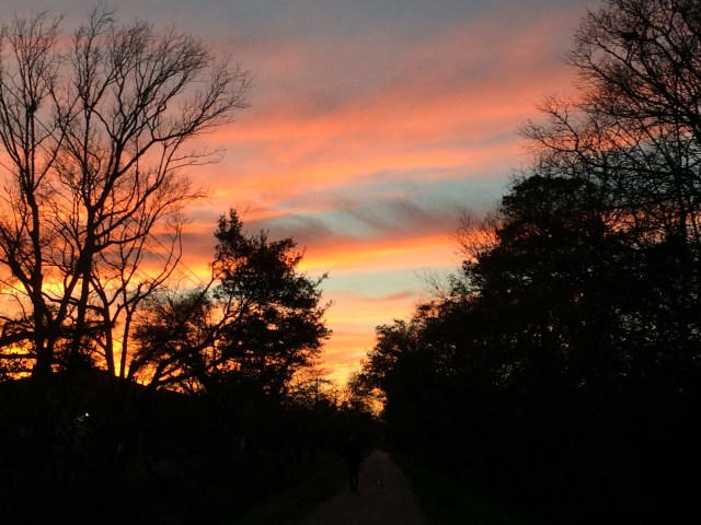 West Ashley Greenway Sunset