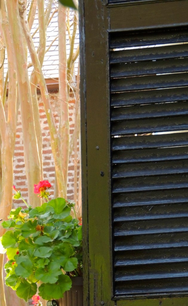 Porch View in Charleston, SC