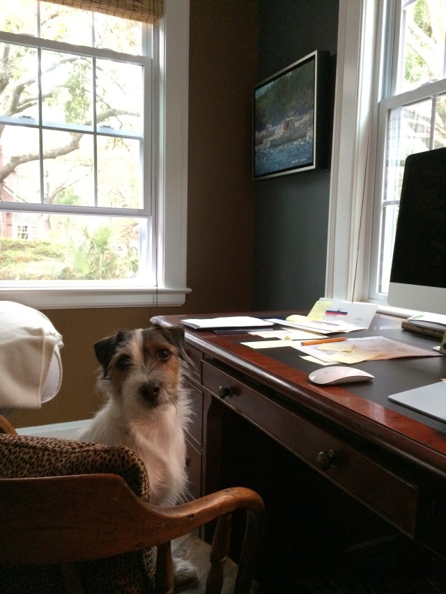 Charlie's in Charge!