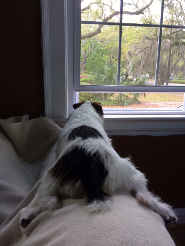 Some days you just need to hang out!