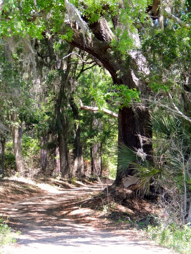 Botany Bay Trail - Edisto, SC