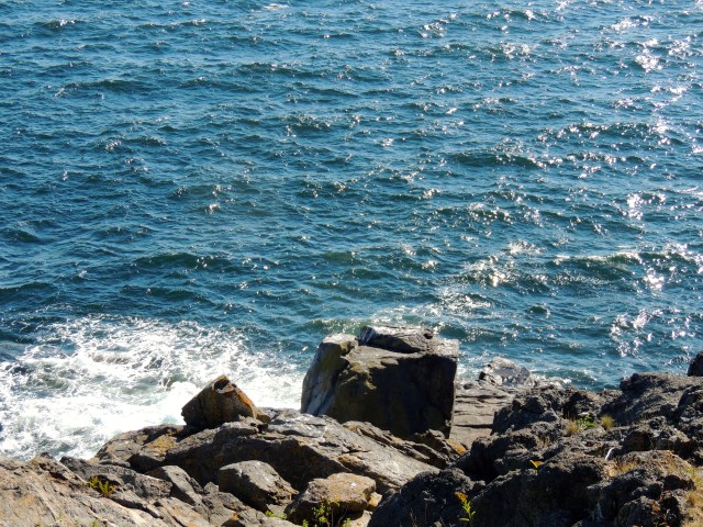 View from Pulpit Rock, Monhegan