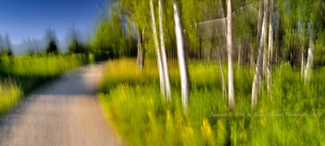 Cow Island by George Shattuck