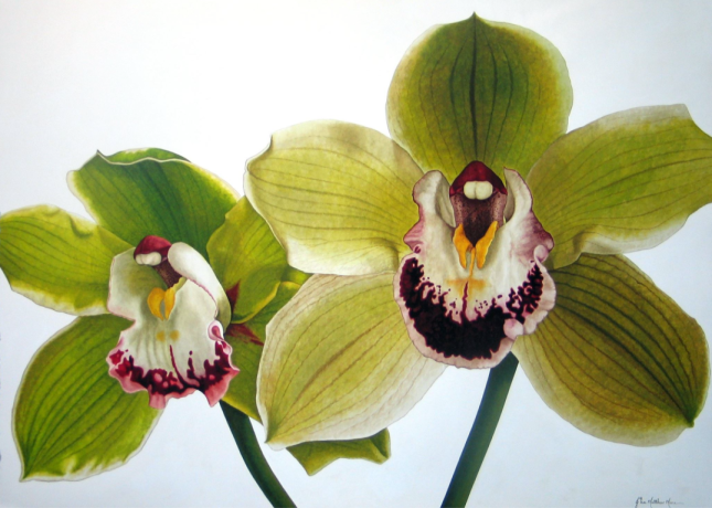 Double Orchid by John Matthew Moore 36 x 54 - Private Commission