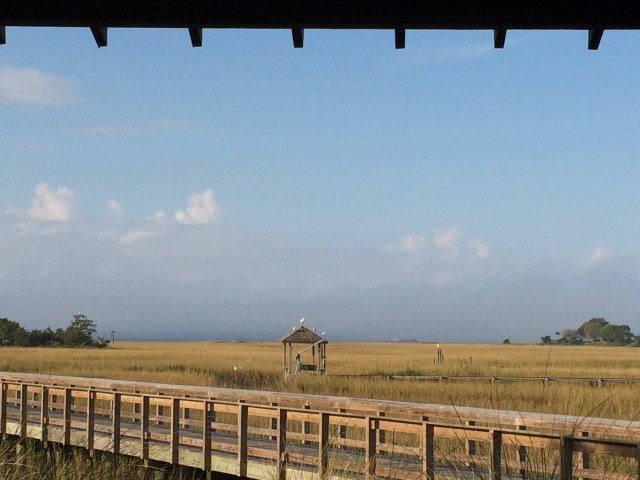 Shem Creek - Mount Pleasant, SC