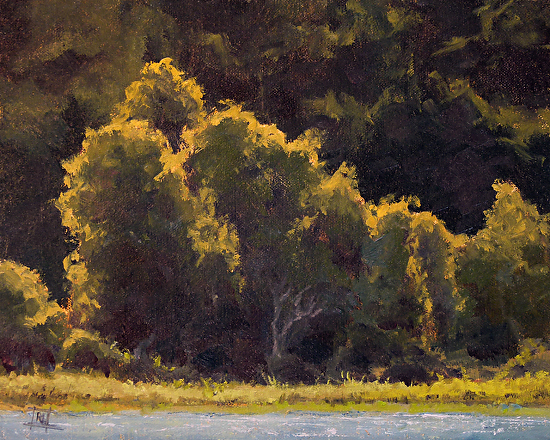 Afternoon Light by Richard Lindenberg