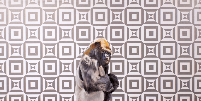 A Gorilla Preceded the Illusion by Robert Lange 12x24" Oil & Vinyl on Panel