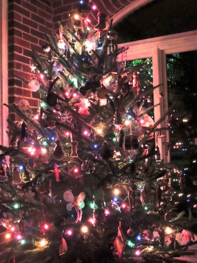 ArtFoodHome.com | barbara stroud