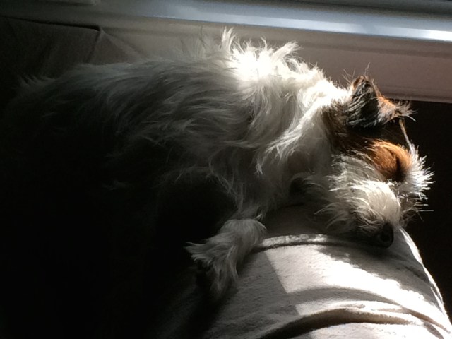 ArtFoodHome.com | barbara stroud