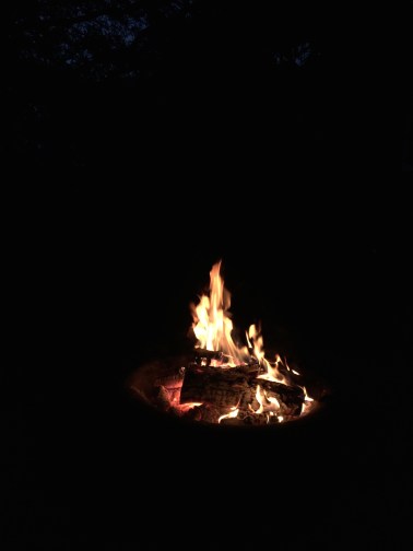 ArtFoodHome.com | barbara stroud