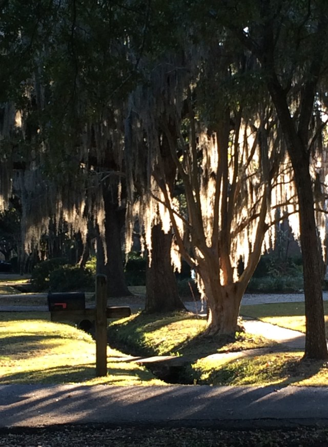 ArtFoodHome.com | barbara stroud