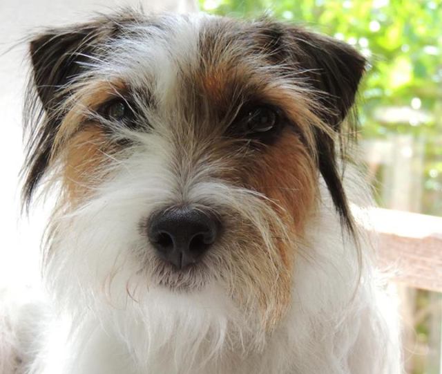 ArtFoodHome.com | barbara stroud