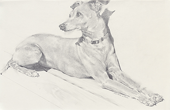 Sun Worshipper by Dean Buhler [sold]