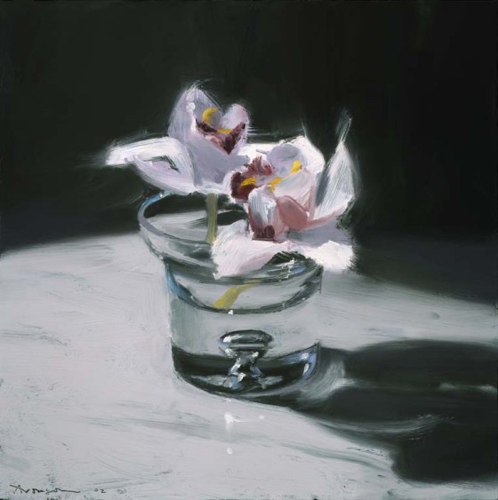 Orchids by Ben Aronson